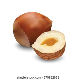 Hazelnut for your design