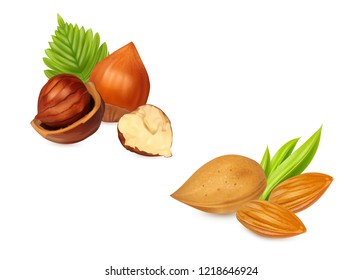 Hazelnuts almonds with leaves. Nuts set isolated on white background. Photo-realistic vector illustration.