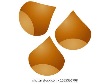 Hazelnuts and chestnuts on white background.