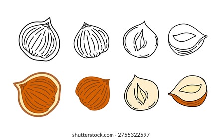 hazelnuts collection illustration. set of hazelnuts illustration. hazelnuts doodle set. collections of hazelnuts.