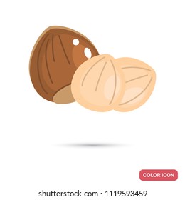 Hazelnuts color flat icon