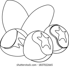 Hazellanas. Imagen de contorno de comida. Ilustración vectorial aislada en fondo blanco.