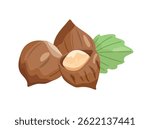 Hazelnuts. Flat vector, clipart illustration isolated on white background.