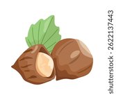 Hazelnuts. Flat vector, clipart illustration isolated on white background.