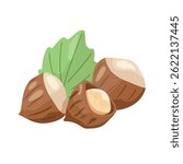 Hazelnuts. Flat vector, clipart illustration isolated on white background.