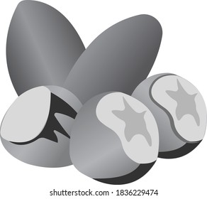 Hazelnuts. Grayscale image of food. Vector illustration isolated on white background.