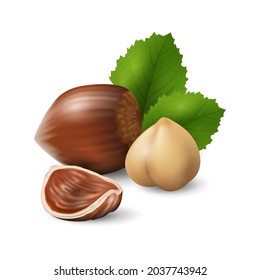 Hazelnuts with green leaves. Nuts and seeds collection. Realistic design vector illustration