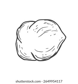 Ilustración vectorial de tinta dibujada a mano de avellanas. Granos y nueces de avellana enteros y cortados en cáscara.