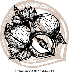 Hazelnuts. Hand drawn sketches vector illustration on white background in vintage style.