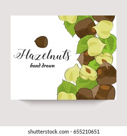 Hazelnuts hand drawn vector banner in a sketch style. Package design.