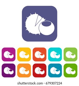 Hazelnuts icons set vector illustration in flat style In colors red, blue, green and other