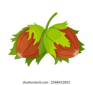 Hazelnuts with leaves. Cartoon hazelnut Hand drawn trendy flat style isolated icon. Organic raw hazel with leaves, tasty snacks. Forest nut Vector illustration