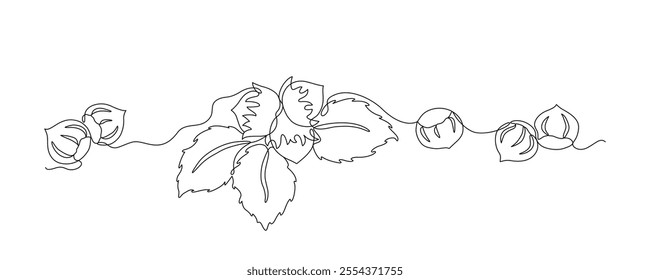 Hazelnuts with leaves drawn in continuous line in minimalism style, nut kernels, hazelnut fruits, in one line, editable vector contour