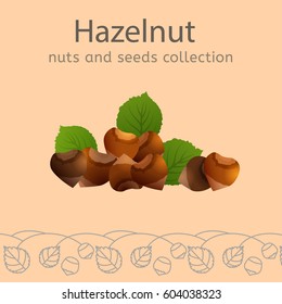 Hazelnuts with leaves on a light beige background. Nuts and seeds collection. Vector illustration.