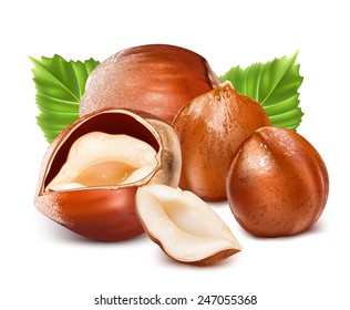 Hazelnuts with leaves. Photo-realistic vector illustration.