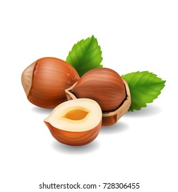 Hazelnuts with leaves realistic