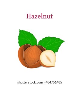 Hazelnuts with leaves. Vector illustration of a handful of hazel nut isolated on white background it can be used as packaging design element, printing brochures on healthy and vegetarian diet