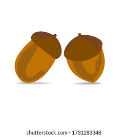 Hazelnuts nuts on white. Round hazel fruit. The food ingredient and symbol of the autumn holidays is Halloween and Thanksgiving.