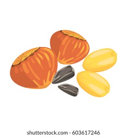 Hazelnuts, Peanuts And Sunflower Seeds, Food Item Rich In Proteins, Important Element Of The Healthy Balanced Diet Vector Illustration