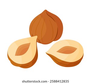 Hazelnuts ripe and tasty. Half and whole hazelnuts without shell. Hand drawn trendy flat style isolated icon. Healthy treat, snacks, peeled forest nuts. Vector illustration