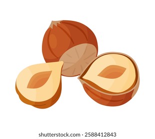 Hazelnuts ripe and tasty. Half and whole hazelnuts shelled and unshelled. Hand drawn trendy flat style isolated icon. Healthy treat, snacks, peeled and unpeeled forest nuts. Vector illustration