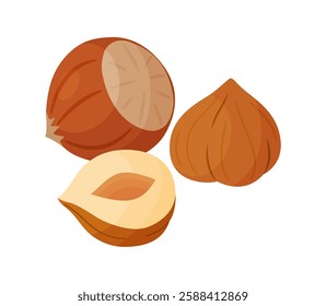 Hazelnuts ripe and tasty. Half and whole hazelnuts shelled and unshelled. Hand drawn trendy flat style isolated icon. Healthy treat, snacks, peeled and unpeeled forest nuts. Vector illustration