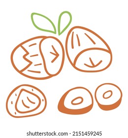 Hazelnuts. Set of hand drawn icons. Vector illustrations on white background. 