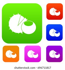 Hazelnuts set icon in different colors isolated vector illustration. Premium collection