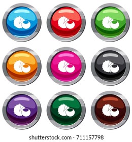Hazelnuts set icon isolated on white. 9 icon collection vector illustration