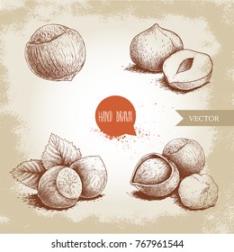 Hazelnuts set. Whole, peeled, singles and group with leaves. Hand drawn sketch style illustrations collection. Vector drawings isolated on old background.