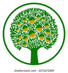Hazelnuts tree isolated on white. Silhouette. Icon. Sign. Vector Illustration