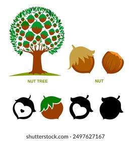 Hazelnuts tree isolated on white. Silhouette. Icon. Sign. Set of detailed hand drawn hazelnuts isolated on white background. 
Vector Illustration