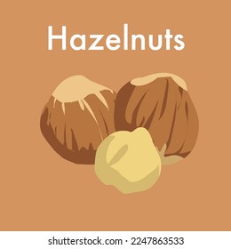 Hazelnuts vector graphic for icons and stickers