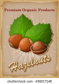 Hazelnuts vintage poster. Vector illustration.