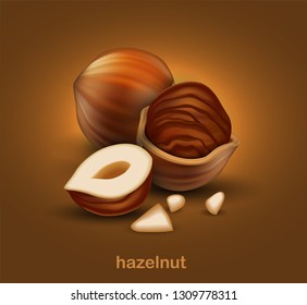 Hazelnuts. The whole nut, half nut and half a nut in shell on a brown background.  3D vector. High detailed realistic illustration
