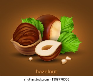 Hazelnuts. Whole walnut, half walnut and walnut in half shell with green leaves on a brown background.  3D vector. High detailed realistic illustration