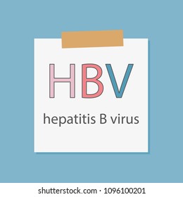 HBV Hepatitis B Virus written in a notebook paper- vector illustration