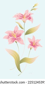 HC 1st collection - Lily 01