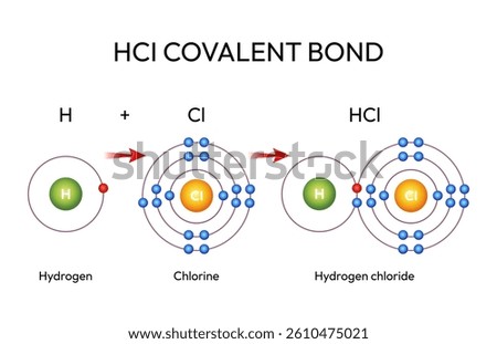 HCl Covalent Bond Formation Hydrogen and Chlorine React to Form Hydrogen Chloride