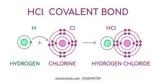 Enlace covalente de cloruro de hidrógeno HCl. Molécula diatómica formada por un átomo de hidrógeno H y un átomo de cloro Cl. Ácido clorhídrico en estado líquido. Estructura atómica de Lewis. Ilustración vectorial. 