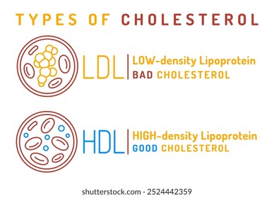 HDL good and LDL bad cholesterol infographic. Medical poster in outline style with pictograms. Blood fat elevation symbol. Healthy cardioprotective life. Vector illustration on white background