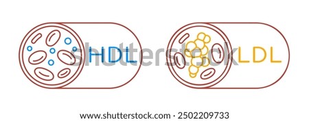 HDL good and LDL bad cholesterol icon. Medical sign in outline style. Linear pictogram. Blood fat elevation symbol. Healthy cardioprotective life. Vector illustration isolated on white background