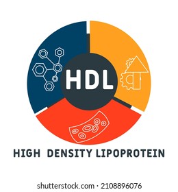 HDL - High-density lipoprotein acronym. business concept background.  vector illustration concept with keywords and icons. lettering illustration with icons for web banner, flyer, landing 