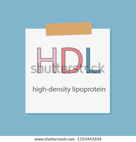 HDL High-density lipoprotein written in a notebook paper- vector illustration
