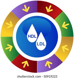 HDL LDL Cholesterol