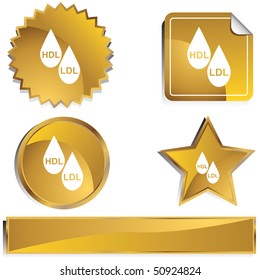 Colesterol HDL LDL