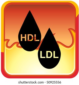 HDL LDL Cholesterol