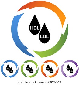 Colesterol HDL LDL