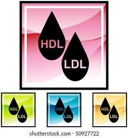 HDL LDL Cholesterol