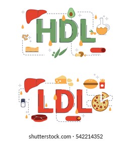 HDL and LDL word vector illustration flat typographic design with lines, icons and ornaments.